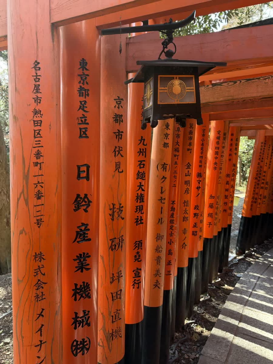 Das Problem ist nicht Lean. Das Problem ist Ihr Managementsystem.