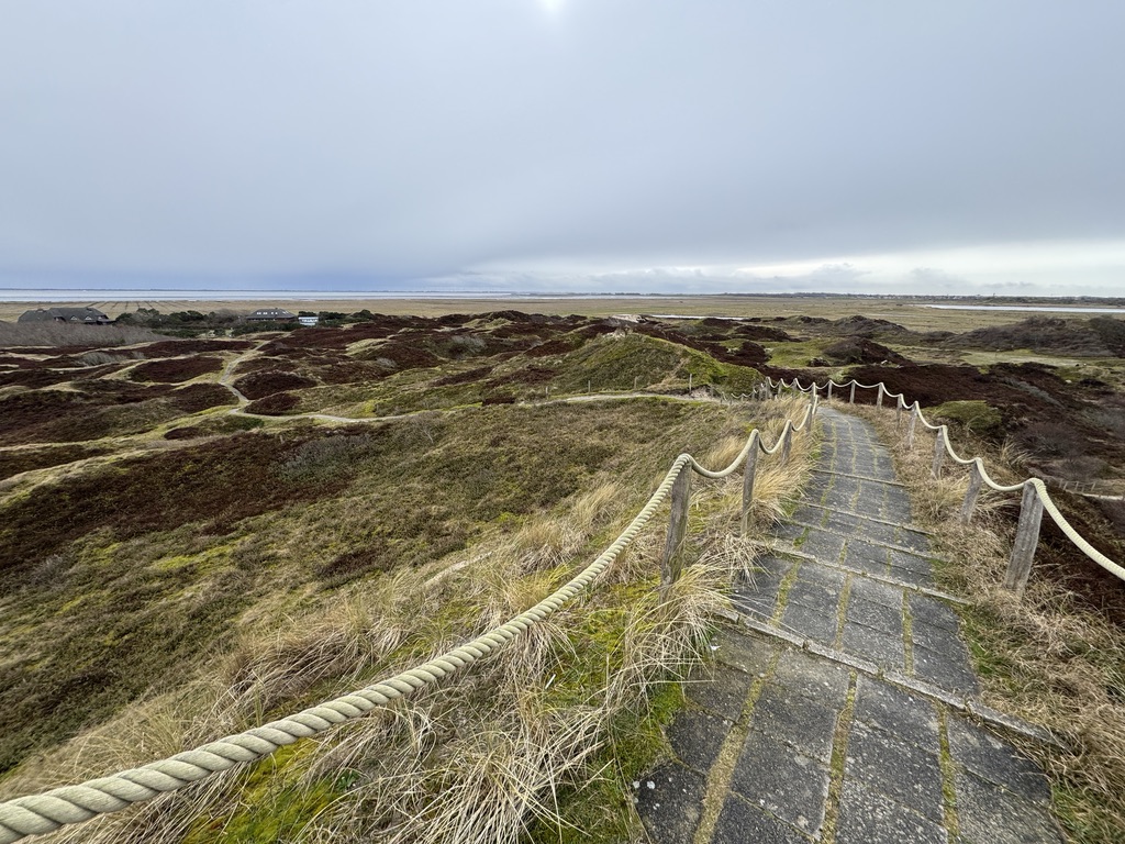 Google hat OKRs nicht eingeführt, um Probleme zu lösen – sondern um Stärke zu bündeln